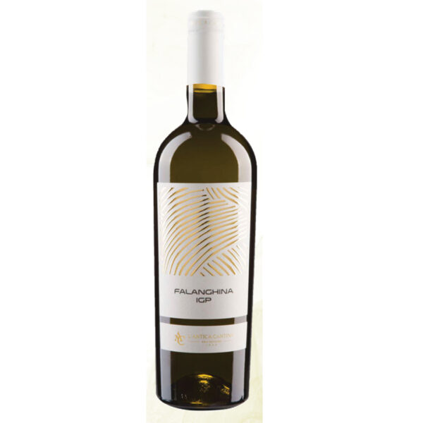vino bianco
